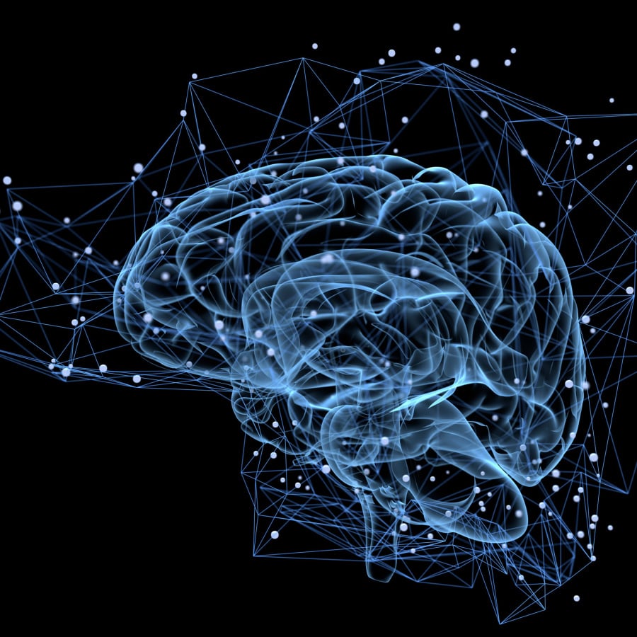 organizing brain square